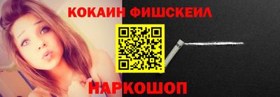a pvp Камышлов