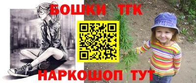 a pvp Камышлов