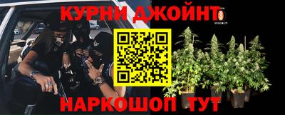кокс Кимры